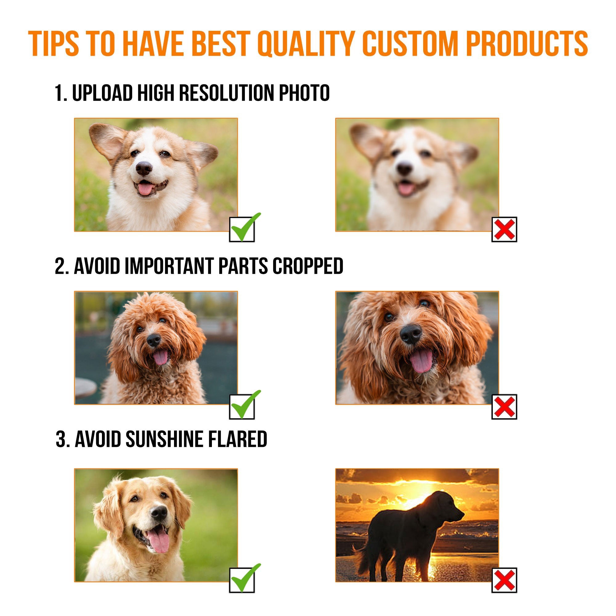 Custom Pet Photo T-Shirt – Personalized Dog Christmas Tee, Funny Gift for Dog Lovers